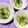 ふたごゆき's cooksnap of when they made トロうまっ☆白菜と塩麹豚こまの煮物.
