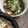 クック2H9MD0☆'s cooksnap of when they made おうちで簡単つけ麺☆.。.:*・°☆.。.