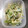 クックriechan's cooksnap of when they made もやしとキャベツのわさびマヨ和え.