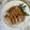 ナピト's cooksnap of when they made 簡単♪　鶏照り焼き＆鶏照り焼き丼.