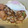 匡史さん's cooksnap of when they made 【残った焼きそばをリメイク】そばめし.