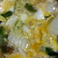 クックBKYN9D☆'s cooksnap of when they made 白菜と鶏肉の卵とじ.