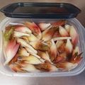 ひっこ's cooksnap of when they made 水で簡単☆シャキシャキみょうがの保存方法.