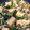 クックOJ817T☆'s cooksnap of when they made 冷めても美味な作り置きおかず小松菜の炒め.