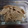 えみりんたん's cooksnap of when they made ごぼうのごまマヨサラダ.