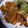こざざざざ's cooksnap of when they made かぼちゃと豚バラと玉ねぎの甘辛炒め.