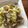 studio a'25's cooksnap of when they made メインはキャベツ！あさりのさかむし.
