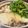 ★なみ☆'s cooksnap of when they made むね肉やわらか湯豆腐.