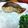 msy0730's cooksnap of when they made 魚嫌いさんに真鱈の西京漬.