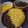 ゆきりら1975's cooksnap of when they made ☆三色丼☆炒りたまご・豚肉そぼろ・絹さや.