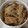 そよかぜMLQ's cooksnap of when they made ☆柳川風♪豚肉とごぼうの卵とじ☆.