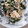 ノイタミナナちゃん's cooksnap of when they made 豚バラ&ほうれん草の卵とじ!(^^)!.