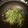 ちゃとぷうさん's cooksnap of when they made 大量消費！みつばと豚挽肉の炒め煮.