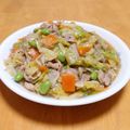 ドルフィンサーモン's cooksnap of when they made 再現！ほっともっとの肉野菜炒め.