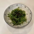 ここなっつ's cooksnap of when they made 豆苗を塩こんぶとごま油で和えて.