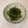 ここなっつ's cooksnap of when they made 豆苗を塩こんぶとごま油で和えて.