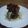 初レポまにあ's cooksnap of when they made 唐揚げの紫玉ねぎマヨソースあえ.