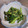 ひっこちゃんふるふる's cooksnap of when they made うちの定番♪ほうれん草のごま味噌和え.