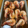 シュンママ1225's cooksnap of when they made エビの煮付け.