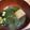 konochin's cooksnap of when they made 小松菜と油揚げと基本のお吸い物.