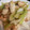 ゆるмαмα's cooksnap of when they made 胸肉と長ネギの塩レモン炒め.