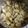 mi_co22's cooksnap of when they made つゆまでいただく…白菜と麩の優しい煮物.