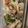 あゆたっくん's cooksnap of when they made ☆鯖の南蛮漬け☆.