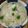 ミドリ５５'s cooksnap of when they made ぷっくり♪豆ご飯 (グリンピースご飯).