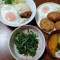 よちりん's cooksnap of when they made 春菊のナムル.