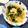 ふたごゆき's cooksnap of when they made お麩とわかめのお吸い物.