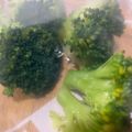 にゃつめ〜's cooksnap of when they made ブロッコリーの保存方法☆冷凍.