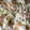 クックPO2Y5Y☆'s cooksnap of when they made 簡単！冷凍ごはんでエビピラフ.