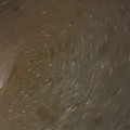 MULA's cooksnap of when they made ゆで汁で【ささみのジンジャー旨みスープ】.