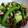 RMNT's cooksnap of when they made ラム肉の中華風炒め.
