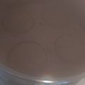 クックF59PXC☆'s cooksnap of when they made ミルクココアとHMで★蒸しパンver.2.
