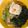 さおりらっくま's cooksnap of when they made わかめうどん.