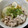 クッキン坊主's cooksnap of when they made ☆白だしで！うちの絶品おでん出汁☆.