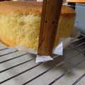 クックkaorin☆'s cooksnap of when they made スポンジケーキ絶対失敗しない完全攻略法.