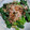 クックY08S17☆'s cooksnap of when they made おろぬき大根のおひたし.