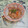 みかかめ's cooksnap of when they made いかと生姜の炊き込みご飯.