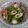 クック6DDPP8☆'s cooksnap of when they made 豆苗とちくわのガーリック塩炒め.