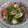 クック6DDPP8☆'s cooksnap of when they made 豆苗とちくわのガーリック塩炒め.
