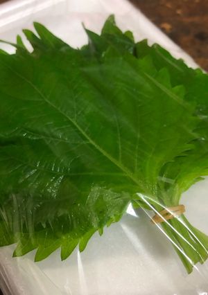 保存版✅大葉の保存方法|冷蔵・冷凍で簡単長持ち-レシピのメイン写真