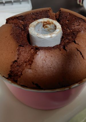 チョコレートシフォンケーキ-レシピのメイン写真