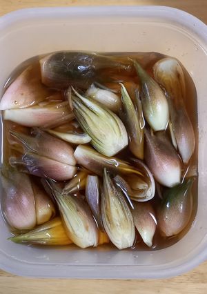 ミョウガ漬け-レシピのメイン写真
