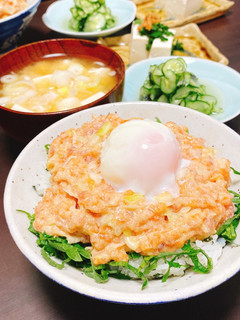 サーモンとマグロのトロ丼-レシピのメイン写真