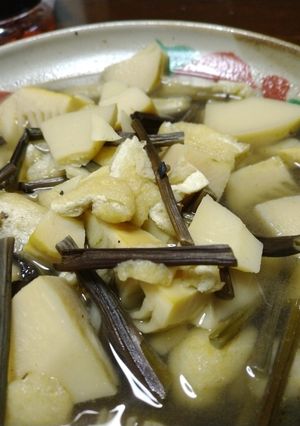 宗田節出汁の筍蕨の煮付け-レシピのメイン写真