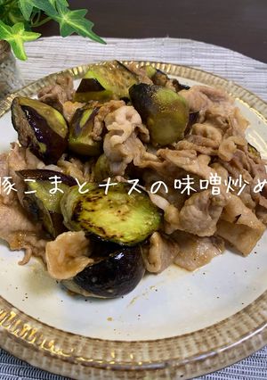 豚こまとナスの味噌炒め-レシピのメイン写真