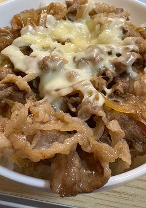 牛丼🍚（豚丼🍚）-レシピのメイン写真