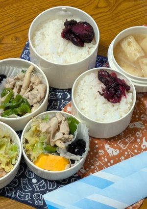 お弁当2025年11月10日-レシピのメイン写真